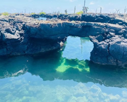 cffa7988-e71c-4816-99f6-d155ed2e6d55