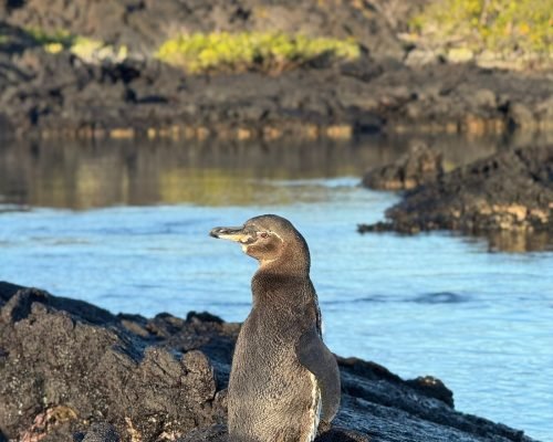 de845d08-6001-4acd-9a6d-61dc8ca5dd67