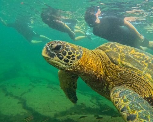 e6fb13c3-3776-4644-86f3-130a075b1571