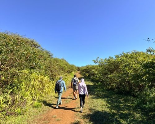 ee416b26-7a46-4a91-9e82-1dfe6f1c084a